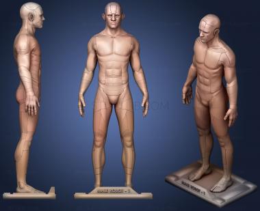 3D model Male Robot 01 (STL)